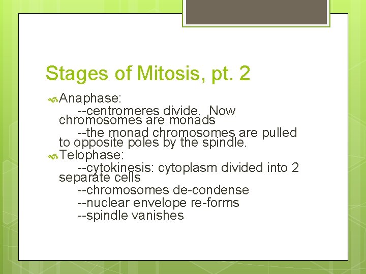 Stages of Mitosis, pt. 2 Anaphase: --centromeres divide. Now chromosomes are monads --the monad