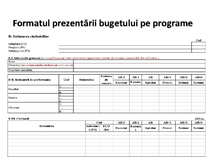 12 Formatul prezentării bugetului pe programe 