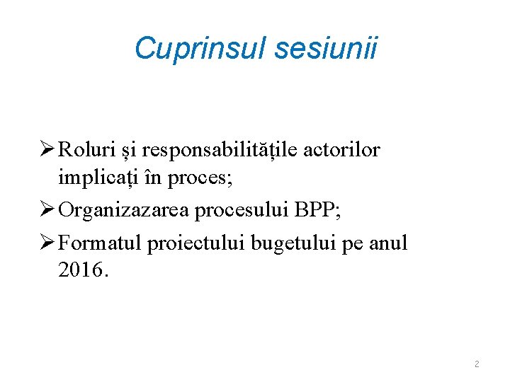 Cuprinsul sesiunii Roluri și responsabilitățile actorilor implicați în proces; Organizazarea procesului BPP; Formatul proiectului