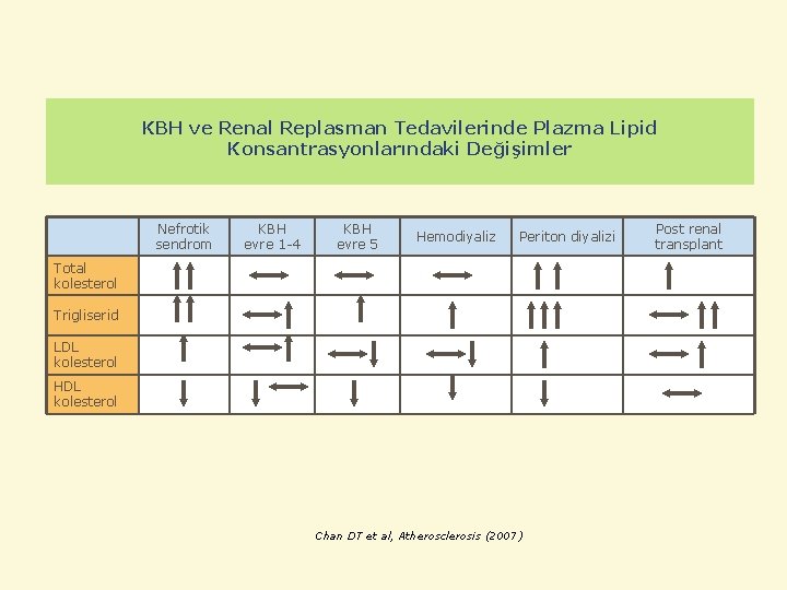 KBH ve Renal Replasman Tedavilerinde Plazma Lipid Konsantrasyonlarındaki Değişimler Nefrotik sendrom KBH evre 1