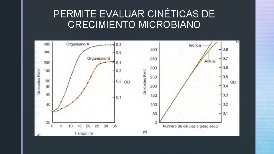 PERMITE EVALUAR CINÉTICAS DE CRECIMIENTO MICROBIANO 