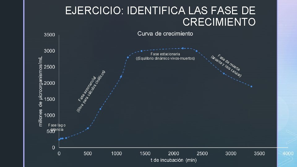 EJERCICIO: IDENTIFICA LAS FASE DE CRECIMIENTO (S irv Fa e p se ara ex