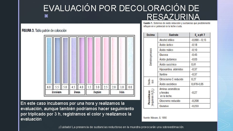 EVALUACIÓN POR DECOLORACIÓN DE z RESAZURINA En este caso incubamos por una hora y