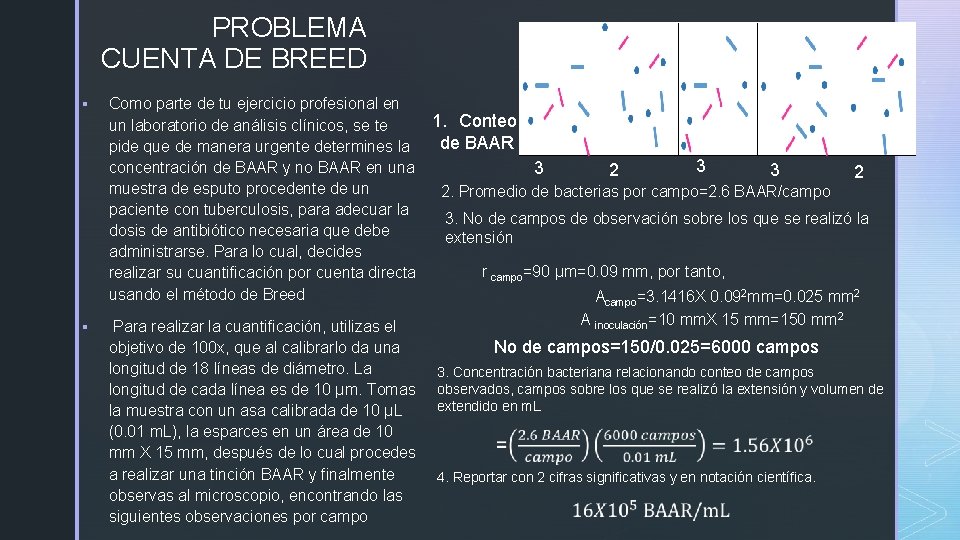 PROBLEMA CUENTA DE BREED § Como parte de tu ejercicio profesional en 1. Conteo