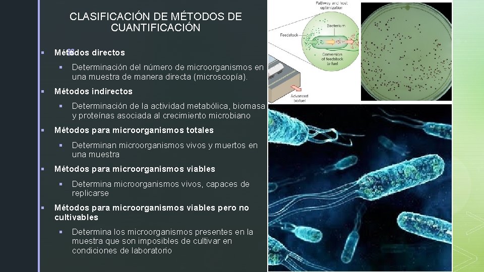 CLASIFICACIÓN DE MÉTODOS DE CUANTIFICACIÓN § z Métodos directos § § Métodos indirectos §