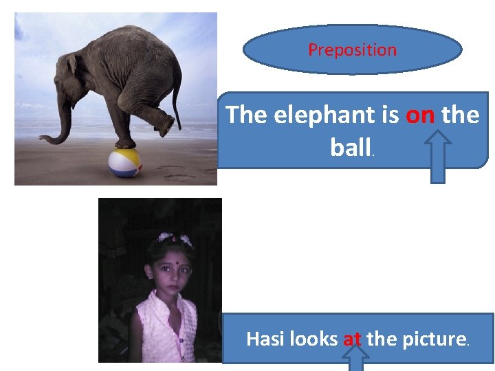 Preposition The elephant is on the ball. Hasi looks at the picture. 