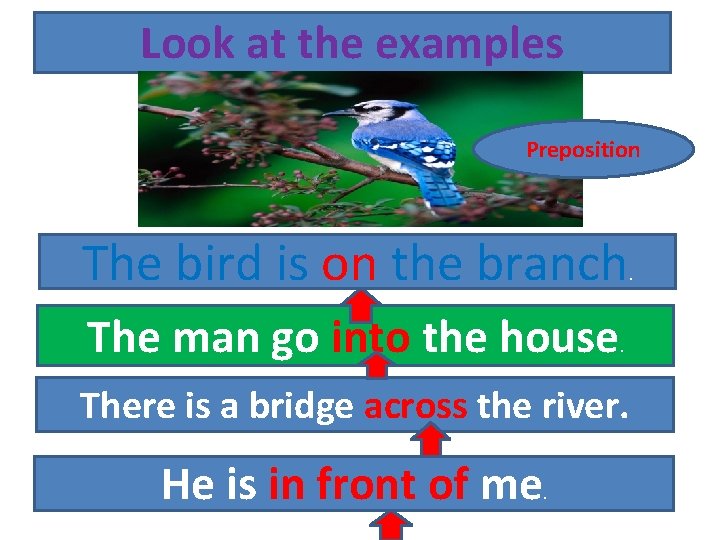 Look at the examples Preposition The bird is on the branch The man go