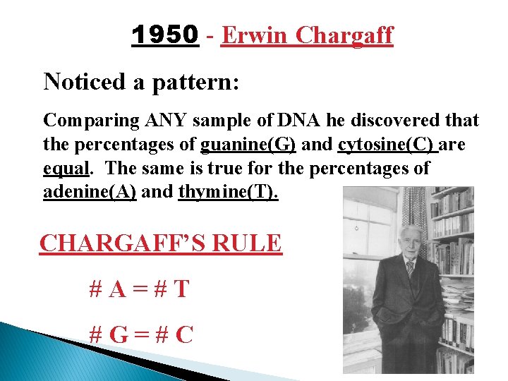 1950 - Erwin Chargaff Noticed a pattern: Comparing ANY sample of DNA he discovered
