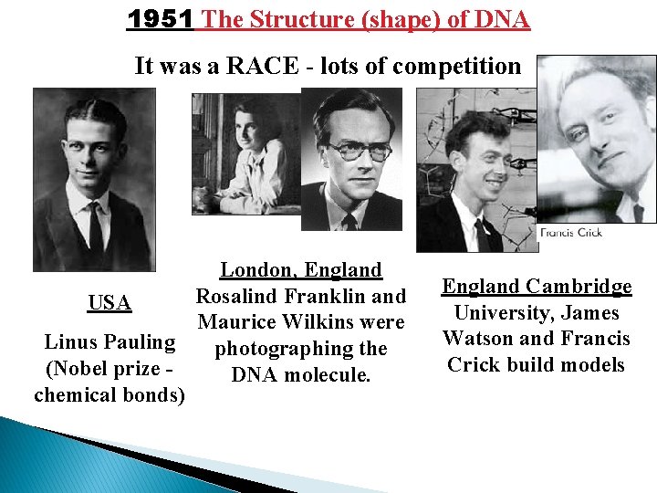 1951 The Structure (shape) of DNA It was a RACE - lots of competition