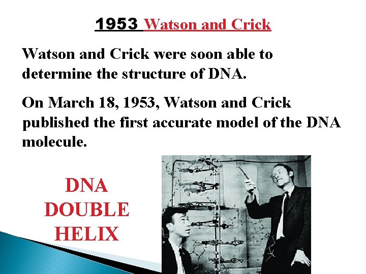1953 Watson and Crick were soon able to determine the structure of DNA. On
