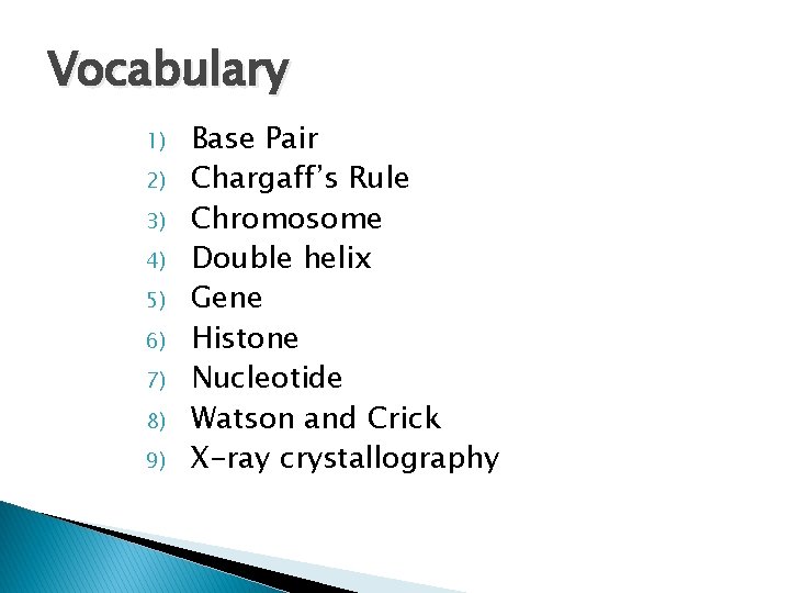 Vocabulary 1) 2) 3) 4) 5) 6) 7) 8) 9) Base Pair Chargaff’s Rule