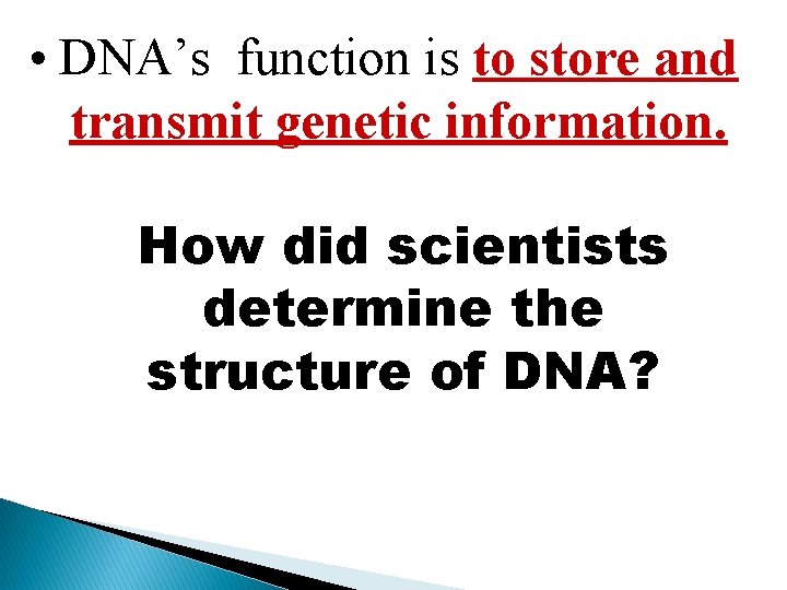 • DNA’s function is to store and transmit genetic information. How did scientists