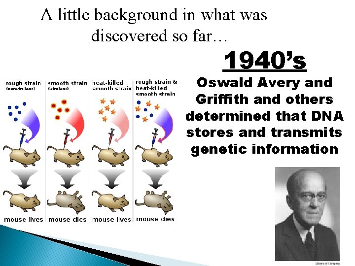 A little background in what was discovered so far… 1940’s Oswald Avery and Griffith