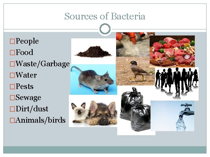 Sources of Bacteria �People �Food �Waste/Garbage �Water �Pests �Sewage �Dirt/dust �Animals/birds 