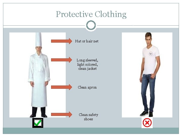 Protective Clothing Hat or hair net Long sleeved, light colored, clean jacket Clean apron