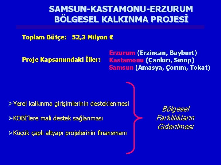 SAMSUN-KASTAMONU-ERZURUM BÖLGESEL KALKINMA PROJESİ Toplam Bütçe: 52, 3 Milyon € Proje Kapsamındaki İller: Erzurum