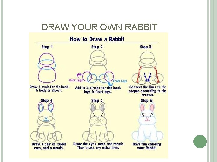 DRAW YOUR OWN RABBIT DRAW YOUR OWN RABBIT