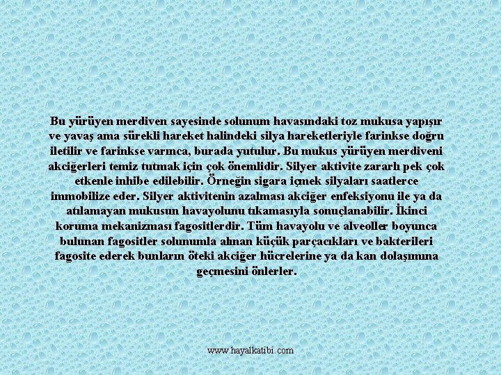 Bu yürüyen merdiven sayesinde solunum havasındaki toz mukusa yapışır ve yavaş ama sürekli hareket