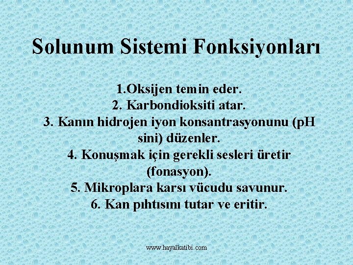 Solunum Sistemi Fonksiyonları 1. Oksijen temin eder. 2. Karbondioksiti atar. 3. Kanın hidrojen iyon