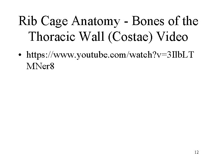 Rib Cage Anatomy - Bones of the Thoracic Wall (Costae) Video • https: //www.