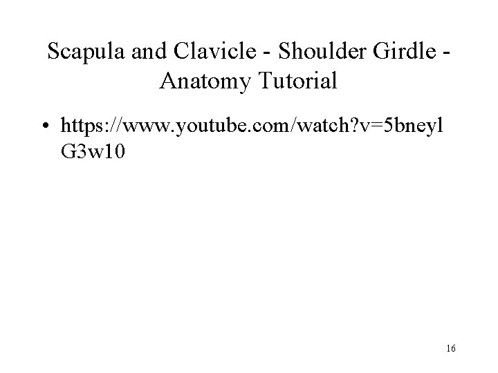 Scapula and Clavicle - Shoulder Girdle Anatomy Tutorial • https: //www. youtube. com/watch? v=5