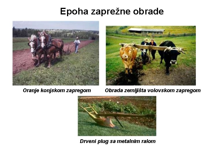 Epoha zaprežne obrade Oranje konjskom zapregom Obrada zemljišta volovskom zapregom Drveni plug sa metalnim