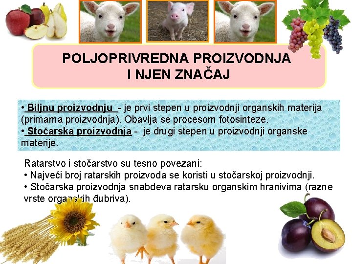 POLJOPRIVREDNA PROIZVODNJA I NJEN ZNAČAJ • Biljnu proizvodnju - je prvi stepen u proizvodnji