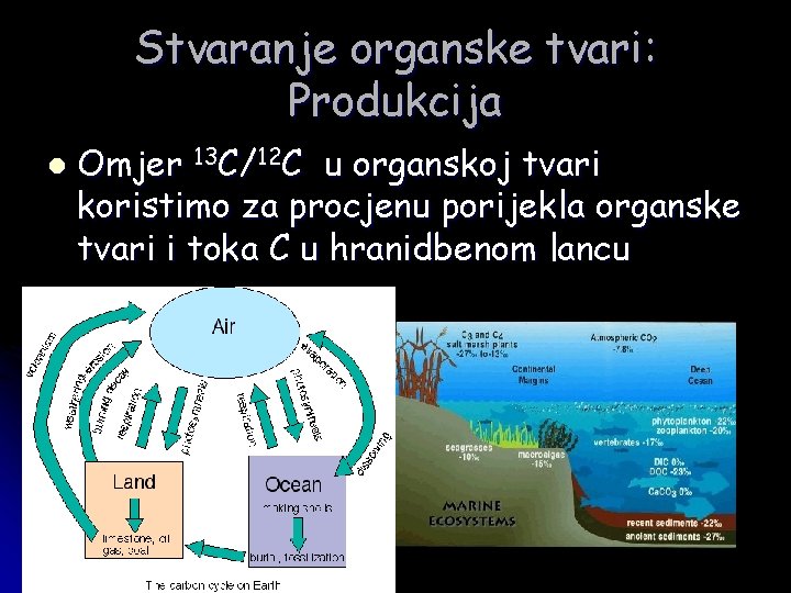 Stvaranje organske tvari: Produkcija l Omjer 13 C/12 C u organskoj tvari koristimo za