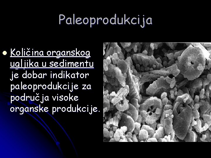 Paleoprodukcija l Količina organskog ugljika u sedimentu je dobar indikator paleoprodukcije za područja visoke