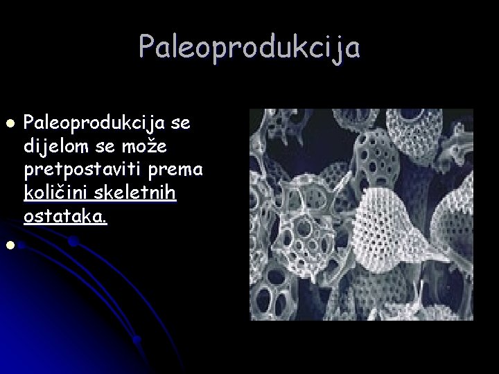 Paleoprodukcija l l Paleoprodukcija se dijelom se može pretpostaviti prema količini skeletnih ostataka. 