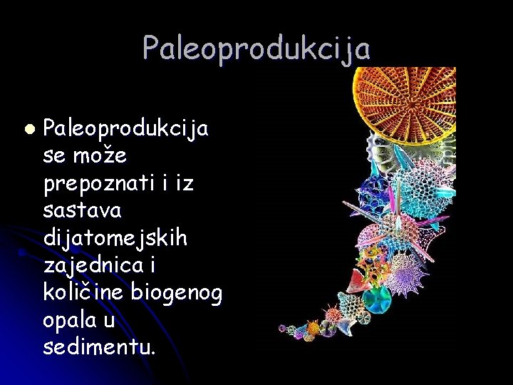 Paleoprodukcija l Paleoprodukcija se može prepoznati i iz sastava dijatomejskih zajednica i količine biogenog