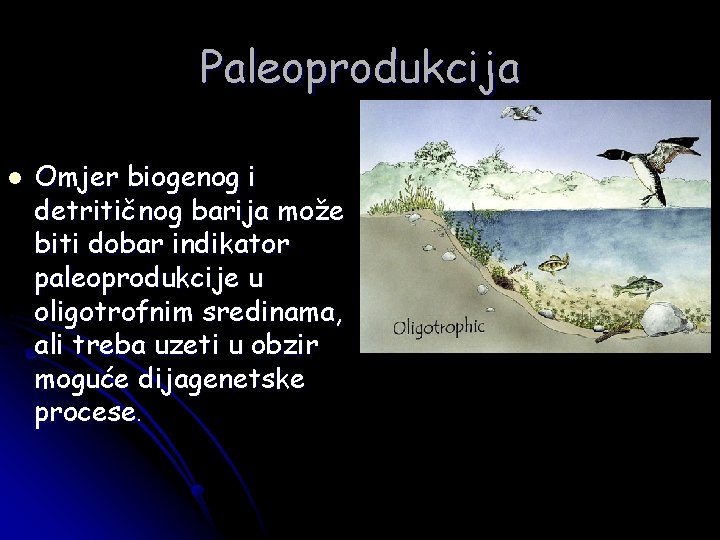 Paleoprodukcija l Omjer biogenog i detritičnog barija može biti dobar indikator paleoprodukcije u oligotrofnim