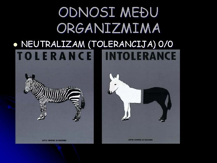 ODNOSI MEĐU ORGANIZMIMA l NEUTRALIZAM (TOLERANCIJA) 0/0 