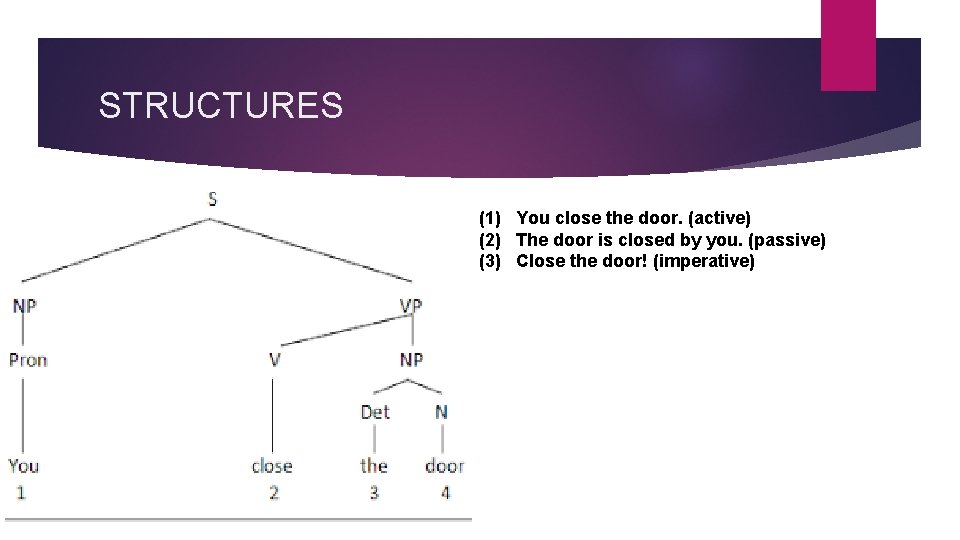 STRUCTURES (1) You close the door. (active) (2) The door is closed by you.