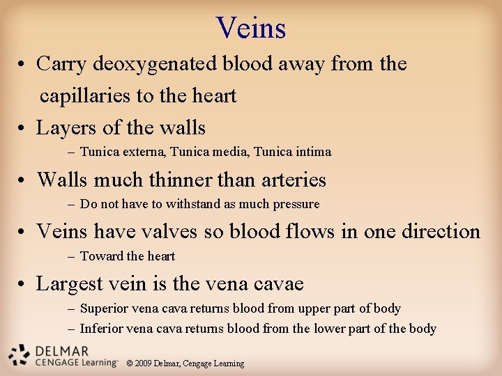 Veins • Carry deoxygenated blood away from the capillaries to the heart • Layers