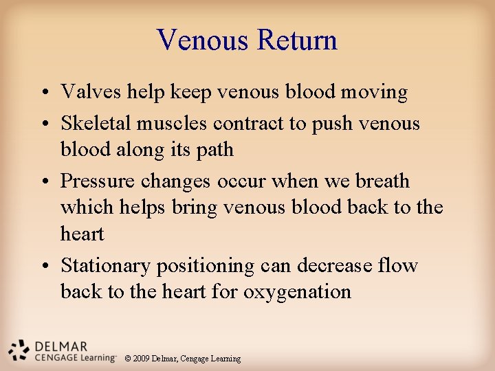 Venous Return • Valves help keep venous blood moving • Skeletal muscles contract to