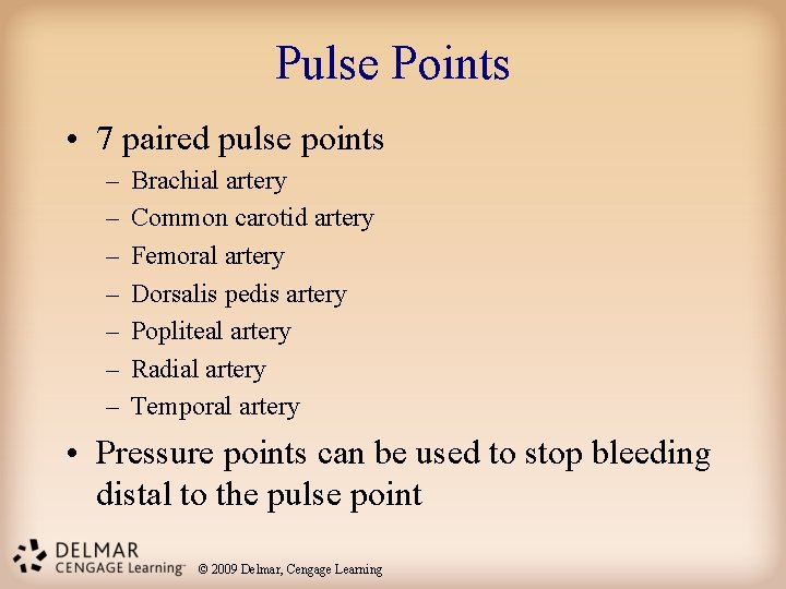 Pulse Points • 7 paired pulse points – – – – Brachial artery Common