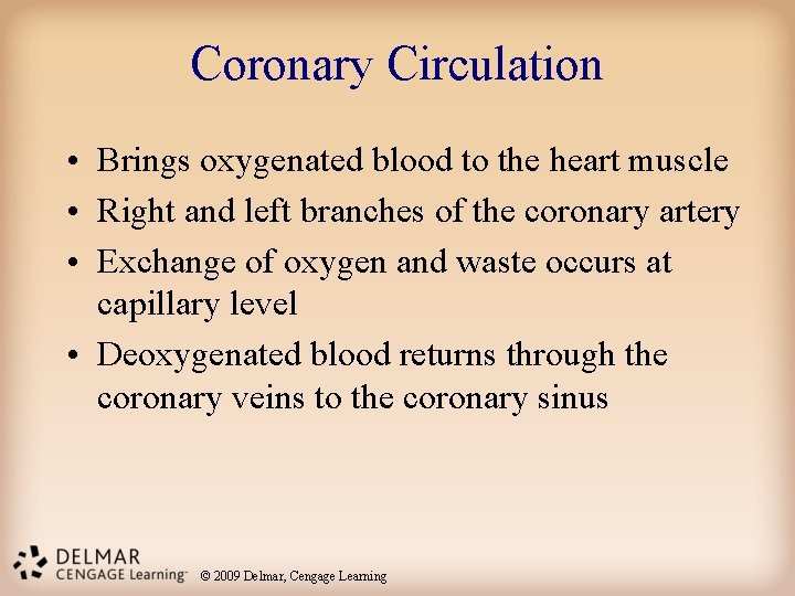 Coronary Circulation • Brings oxygenated blood to the heart muscle • Right and left
