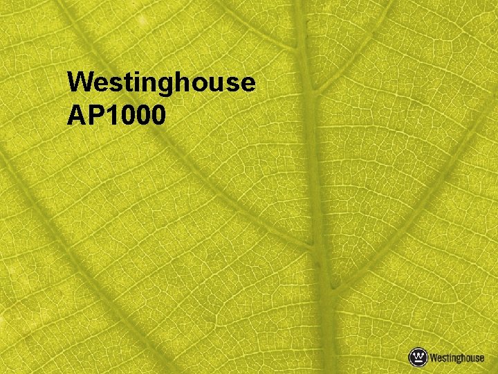 Westinghouse AP 1000 12 