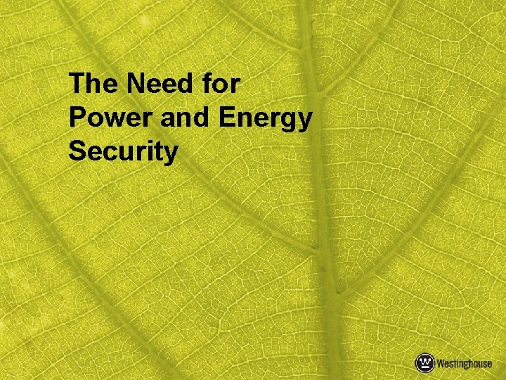 The Need for Power and Energy Security 2 