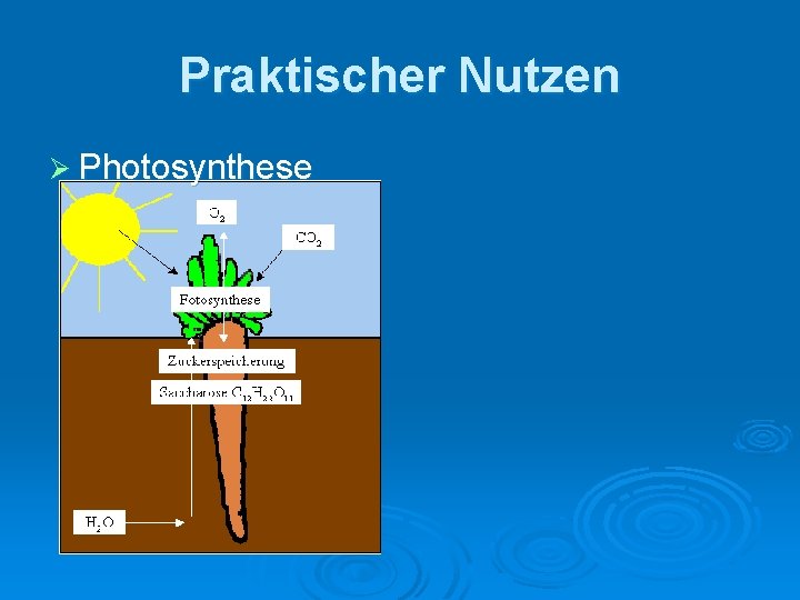 Praktischer Nutzen Ø Photosynthese 