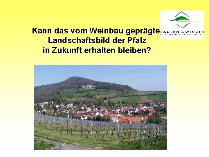 Kann das vom Weinbau geprägte Landschaftsbild der Pfalz in Zukunft erhalten bleiben? 