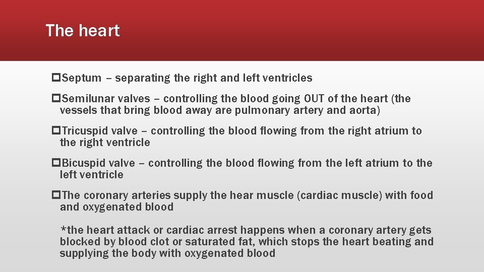 The heart p. Septum – separating the right and left ventricles p. Semilunar valves