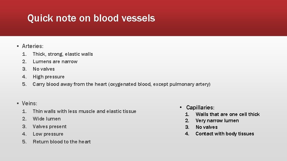 Quick note on blood vessels ▪ Arteries: 1. 2. 3. 4. 5. Thick, strong,