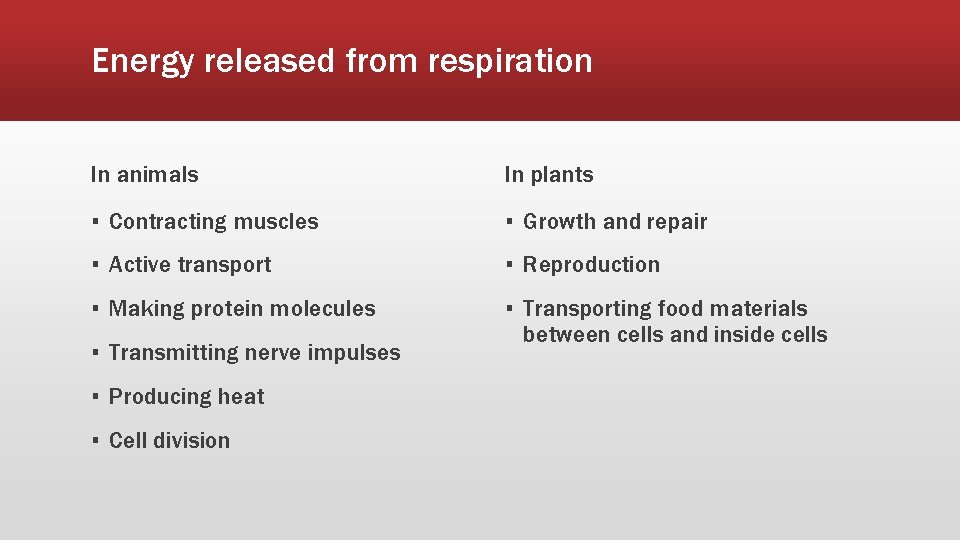 Energy released from respiration In animals In plants ▪ Contracting muscles ▪ Growth and