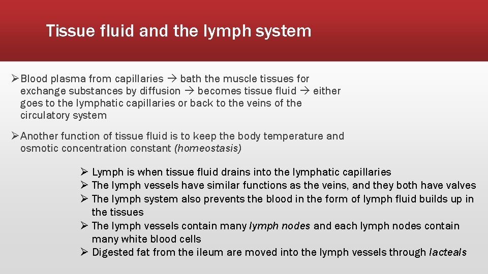 Tissue fluid and the lymph system ØBlood plasma from capillaries bath the muscle tissues