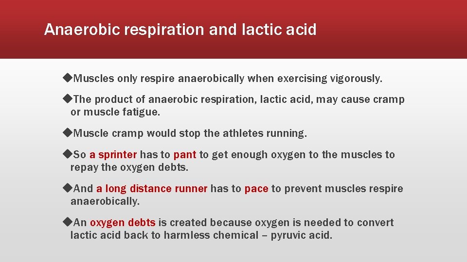 Anaerobic respiration and lactic acid u. Muscles only respire anaerobically when exercising vigorously. u.