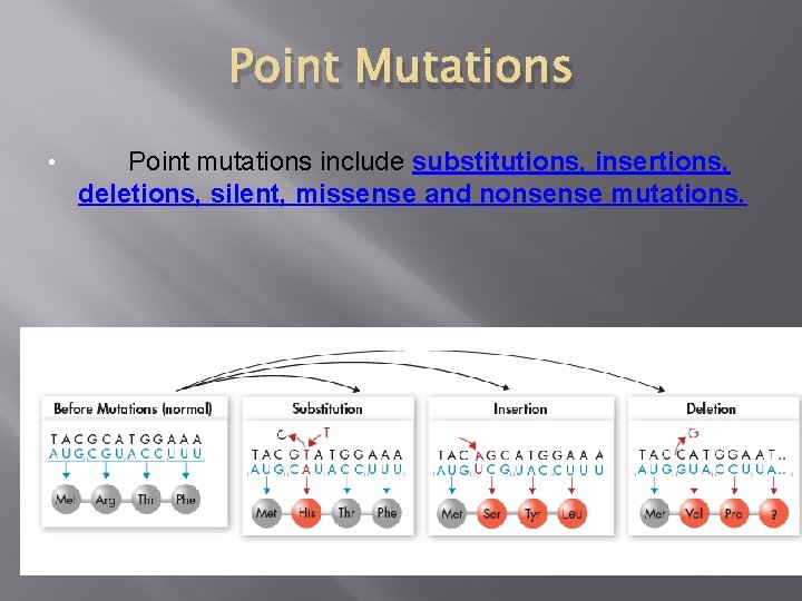 Point Mutations • Point mutations include substitutions, insertions, deletions, silent, missense and nonsense mutations.