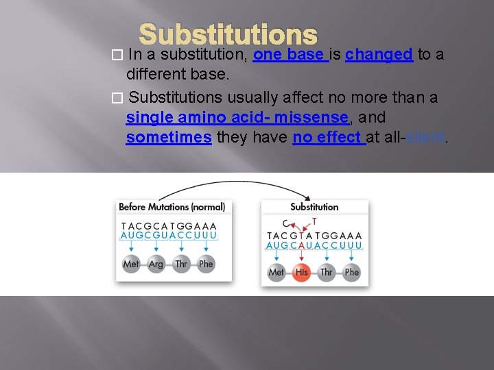 Substitutions In a substitution, one base is changed to a different base. � Substitutions