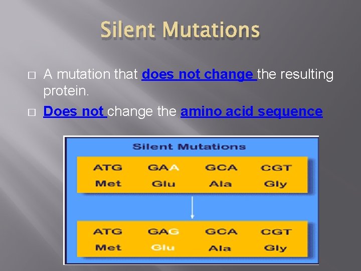 Silent Mutations � � A mutation that does not change the resulting protein. Does